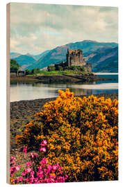 Holzbild Frühlingsblumen und das Eilean Donan Castle, Schottland - Robert Francis