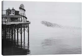 Leinwandbild Starenschwarm am Brighton Palace, Vereinigtes Königreich - Nadia Isakova