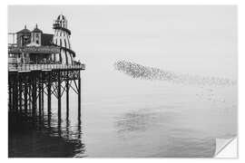 Wandsticker Starenschwarm am Brighton Palace, Vereinigtes Königreich - Nadia Isakova