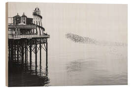 Holzbild Starenschwarm am Brighton Palace, Vereinigtes Königreich - Nadia Isakova