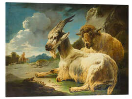 Acrylglasbild Ziegenbock und Schaf in felsiger Landschaft - Philipp P. Roos