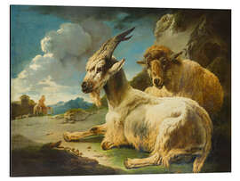 Aluminium print Goat and sheep in rocky landscape - Philipp P. Roos