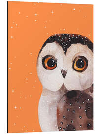 Alubild Eule mit Sternen
