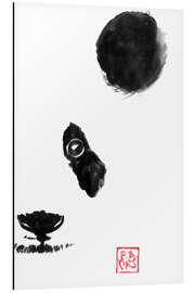 Alubild Panda - Péchane