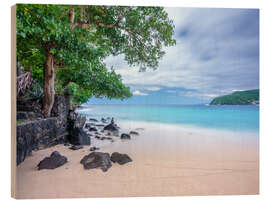 Holzbild Strand von St. Vincent - Assaf Frank