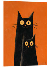 Acrylglasbild Blick der Nachtkatzen
