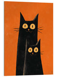 Gallery Print Blick der Nachtkatzen