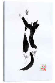 Leinwandbild Schlafende Katze