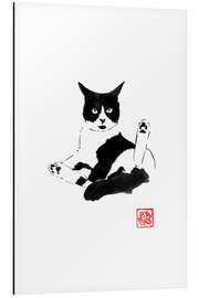 Alubild Katze bei Fellpflege