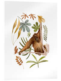 Acrylglasbild Orang-Utan im Dschungel - Urchin Bay