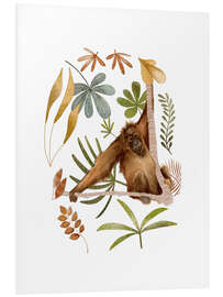 Hartschaumbild Orang-Utan im Dschungel - Urchin Bay