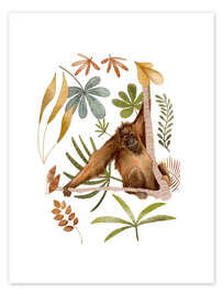 Poster Orang-Utan im Dschungel - Urchin Bay