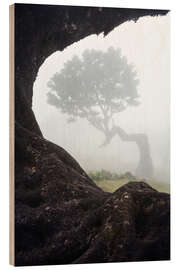 Wood print Laurel Trees of Madeira - Martin Podt