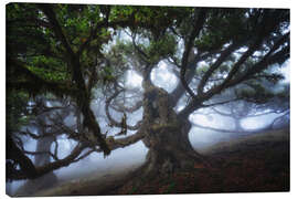 Leinwandbild Monsterbaum von Madeira - Martin Podt