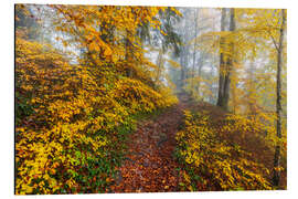 Alubild Wege zur Entspannung im Herbstwald