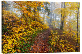 Leinwandbild Wege zur Entspannung im Herbstwald