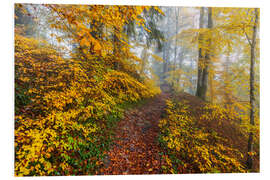 Hartschaumbild Wege zur Entspannung im Herbstwald