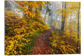 Gallery Print Wege zur Entspannung im Herbstwald