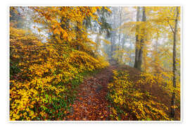 Poster Wege zur Entspannung im Herbstwald
