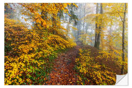 Wandsticker Wege zur Entspannung im Herbstwald