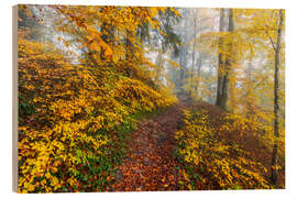 Holzbild Wege zur Entspannung im Herbstwald