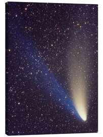 Leinwandbild Komet Hale-Bopp passiert Perseus - NASA