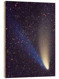 Holzbild Komet Hale-Bopp passiert Perseus - NASA