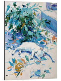 Alubild Schläfchen in der Sonne