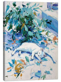 Leinwandbild Schläfchen in der Sonne