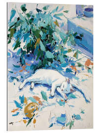 Gallery Print Schläfchen in der Sonne