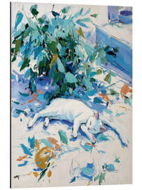 Magnettafel Schläfchen in der Sonne