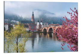 Alubild Frühling an der Alten Brücke in Heidelberg - Jan Christopher Becke