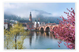 Poster Frühling an der Alten Brücke in Heidelberg - Jan Christopher Becke