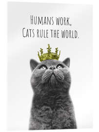 Acrylglasbild Humans work, cats rule the world - Melanie Viola