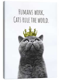 Leinwandbild Humans work, cats rule the world - Melanie Viola