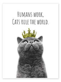 Poster Humans work, cats rule the world - Melanie Viola
