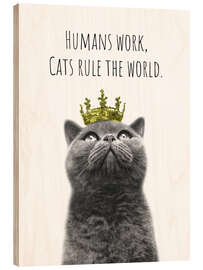 Holzbild Humans work, cats rule the world - Melanie Viola