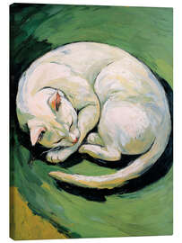 Leinwandbild Weiße Katze