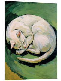 Hartschaumbild Weiße Katze