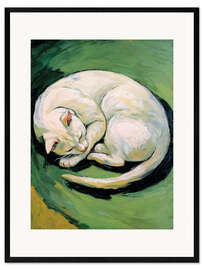 Gerahmter Kunstdruck Weiße Katze