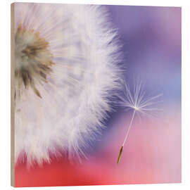 Holzbild Pusteblumentraum - Ludger Föster