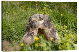 Leinwandbild Liebe in den Alpen