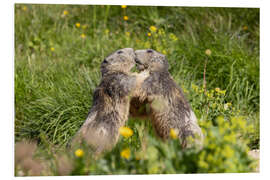 Hartschaumbild Liebe in den Alpen
