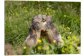 Gallery Print Liebe in den Alpen