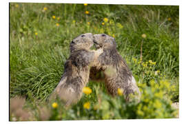 Magnettafel Liebe in den Alpen