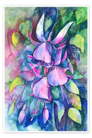 Poster Fuchsia Valse - Zaira Dzhaubaeva