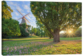 Leinwandbild Mühle am Wall in Bremen - Michael Valjak
