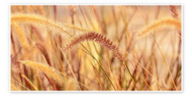 Wandbild Lampenputzergras Herbstzauber - Atteloi