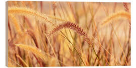 Holzbild Lampenputzergras Herbstzauber - Atteloi