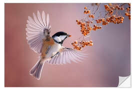 Wandsticker Tannenmeise - Christian Müringer